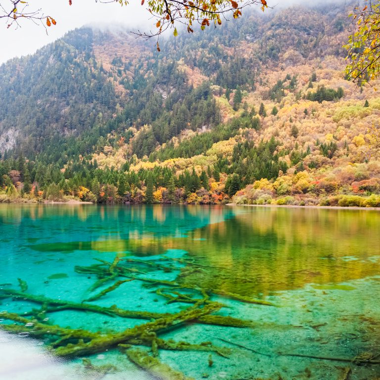 Ishikawa